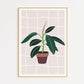 Neutral House Plant Print